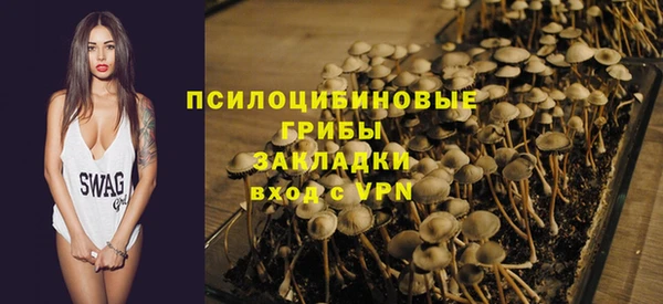 apvp Михайловск