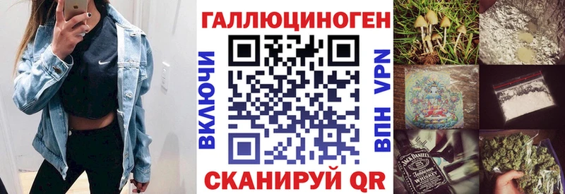 Купить где  Кирсанов  Псилоцибиновые грибы Psilocybine cubensis 